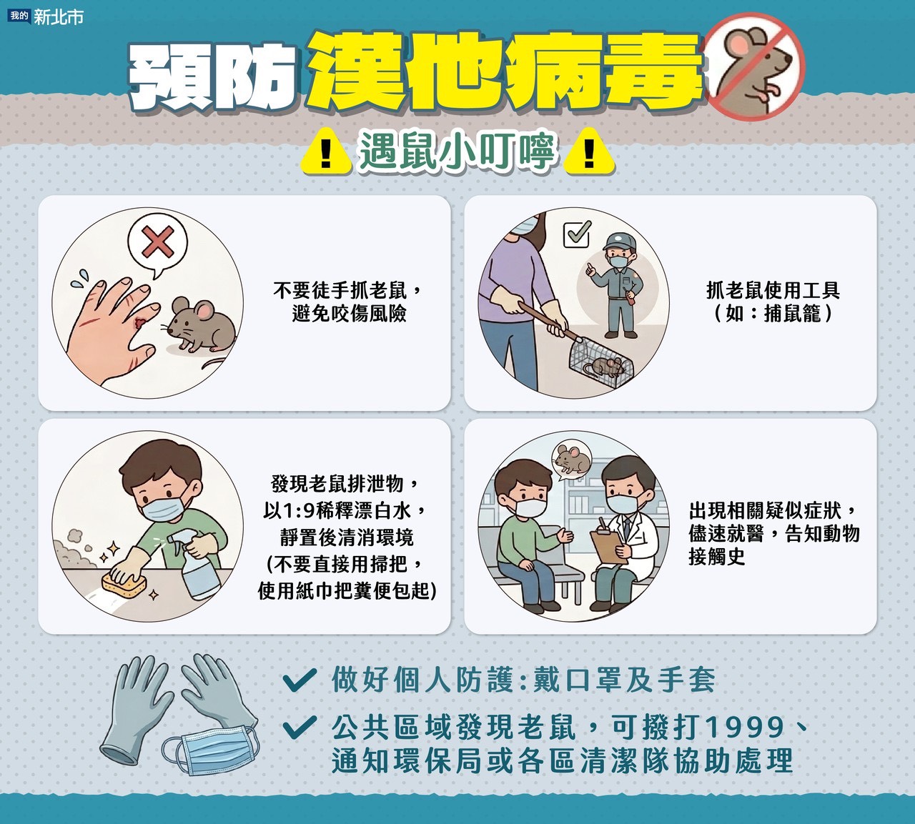 S__46506305.jpg